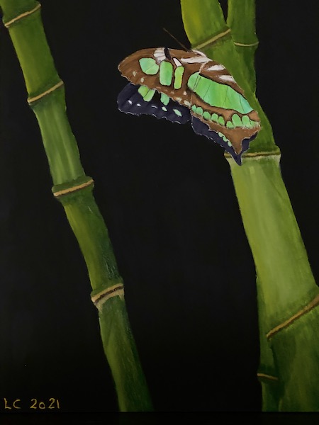 Malerier-af-dyr-og-sommerfugle