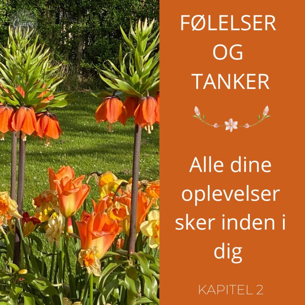 xr:d:DAFKib5nwbY:8,j:33972006665,t:22082913 Følelser og tanker