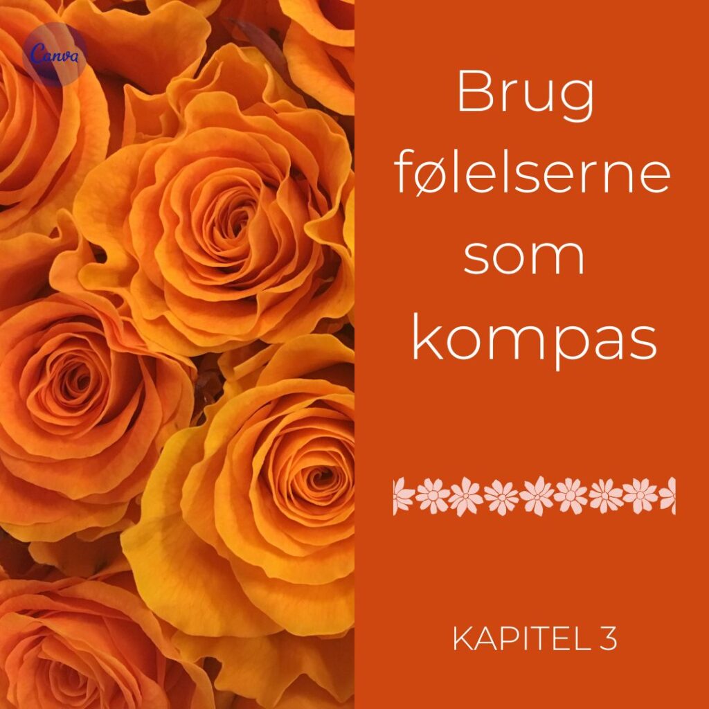 Brug følelserne som kompas