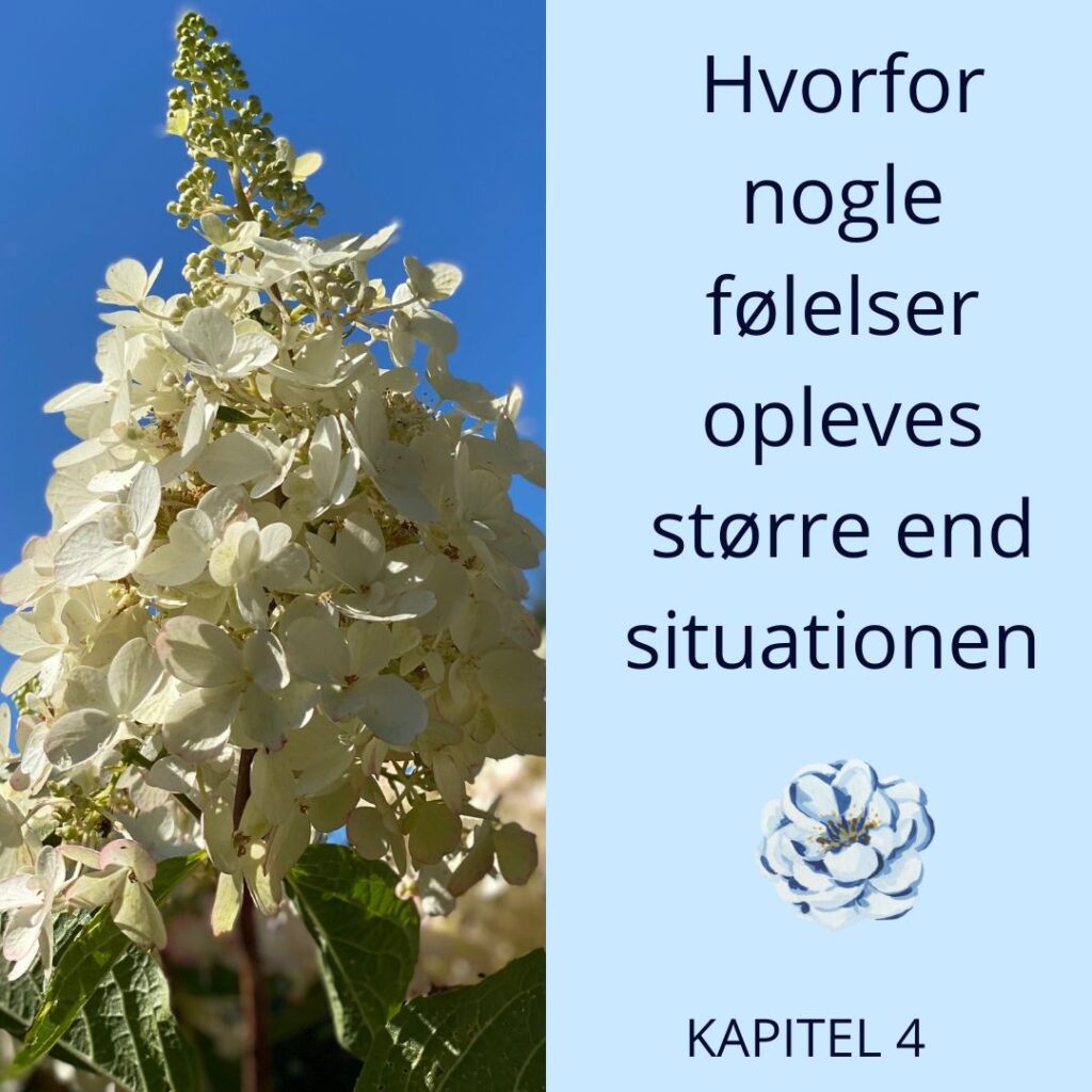 Hvorfor nogle følelser opleves større end situationen