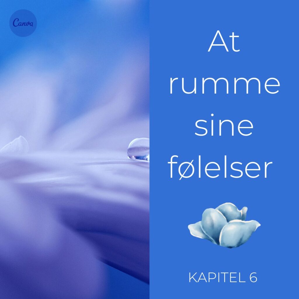at-rumme-sine-foelelser