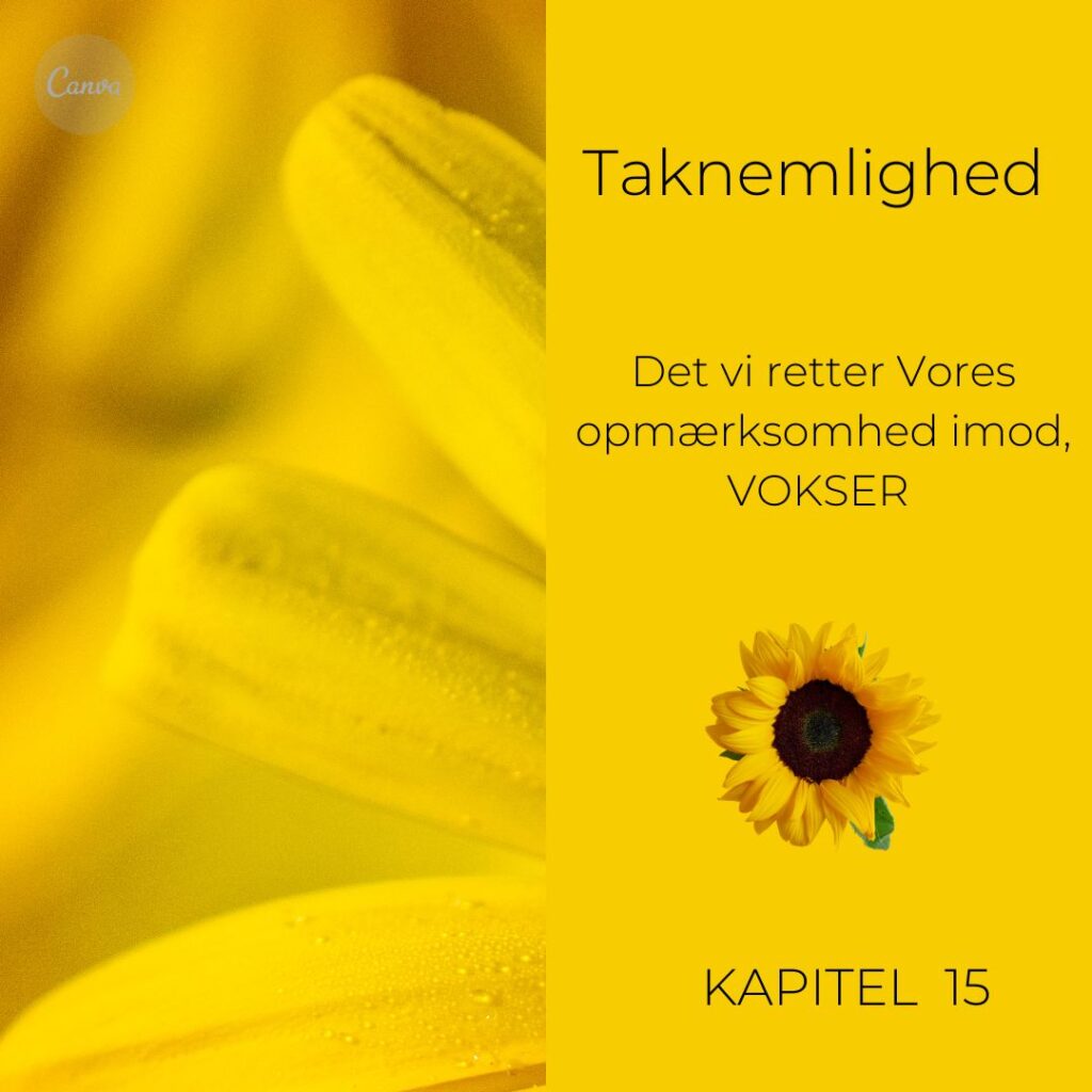 Kapitel 15 Taknemlighed Taknemlighedsøvelse